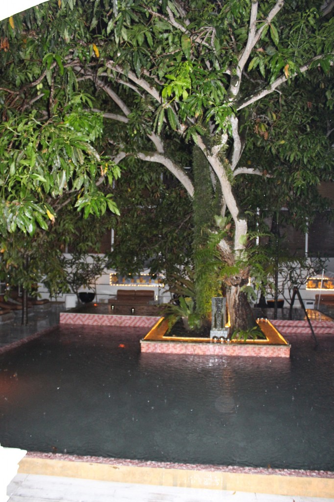 cas colombo 6resized